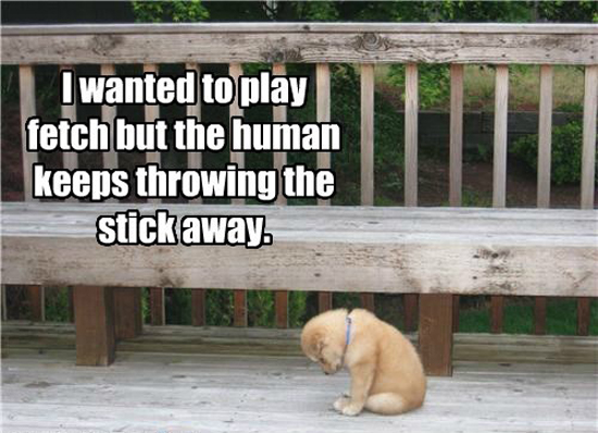 Poor Pup