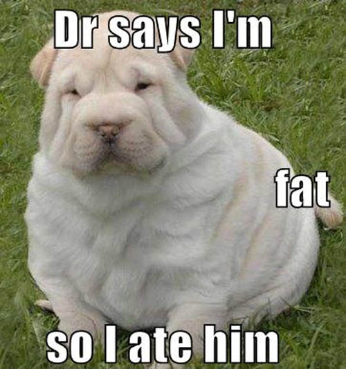 Dr Says I'm Fat