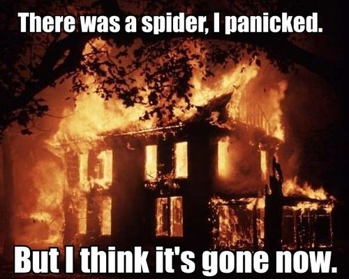 There Was A Spider